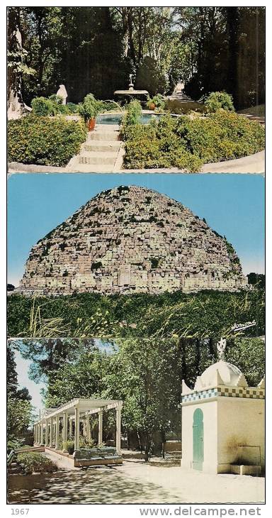 Algérie  -   Petit Lot  de  3 CPSM  -  SIDI-BEL-ABBES  et  EL-DJEZAIR -  voir 2 scans pour détails...