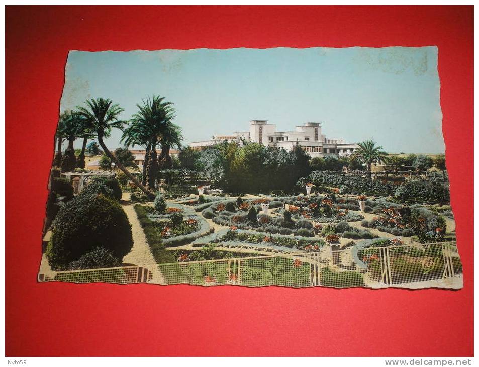 sidi-bel-abbès.. l´hôpital