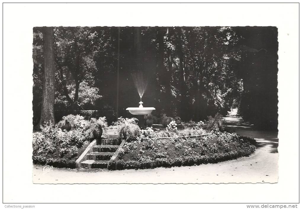 cp, Algérie, SIdi-Bel-Abbès, Le Jardin Publice, L'Allée Principale