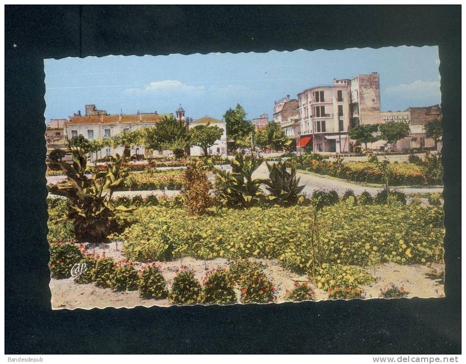 CPSM - Algérie - SIDI BEL ABBES - Place De Lattre de Tassigny et entrée du Boulevard de la République (CAP)