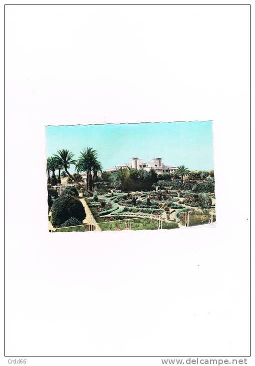 cpsm  de sidi  bel abbes l'hopital