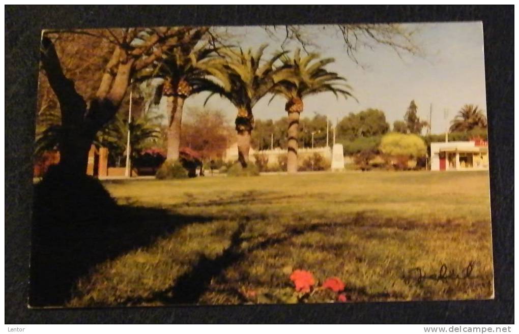 Kt 356 / Sidi-Bel-Abbes