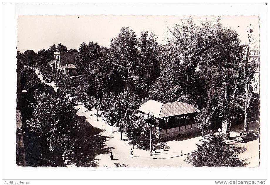 CPSM SIDI-BEL-ABBES , JARDIN DU CERCLE MILITAIRE ET RUE PRUDON