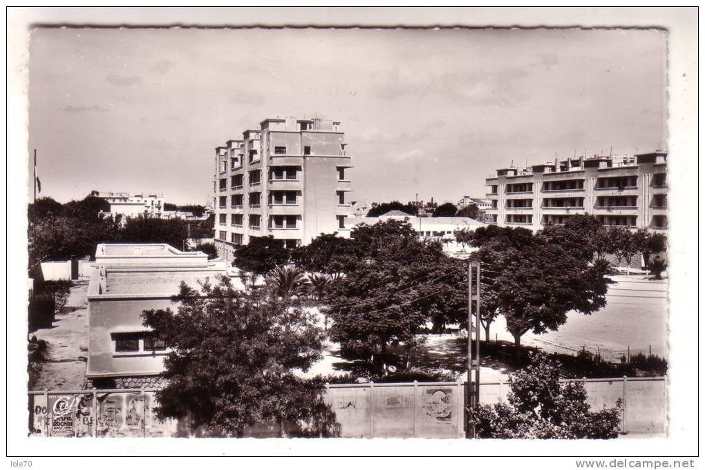 4SC674) SIDI BEL ABBES - FORMATO PICCOLO