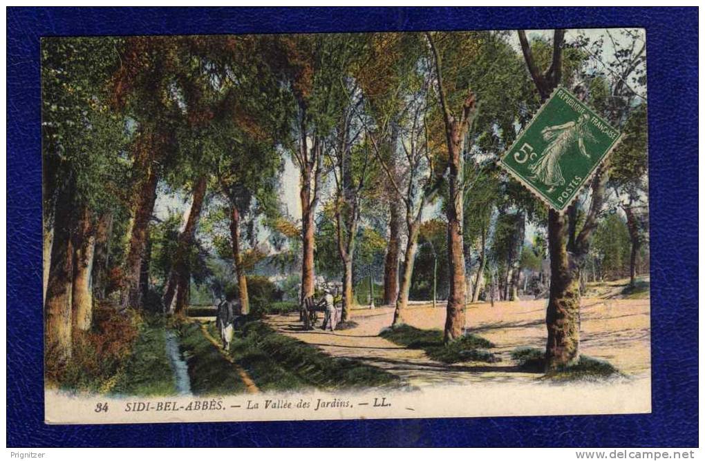 ALGERIE / ALGERIEN / الجزائر      SIDI-BEL-ABBES. LA VALLEE DES JARDINS
