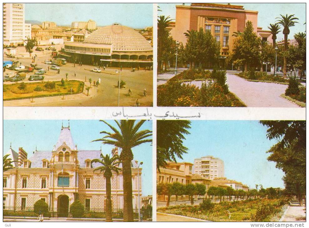 Algérie- Souvenir de Sidi-bel-Abbès - Multi Vues *PRIX FIXE