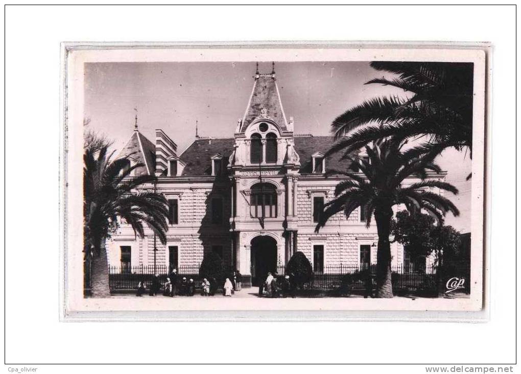 ALGERIE Sidi Bel Abbes Mairie, Hotel de Ville, ed CAP 81, CPSM 9x14, 195?