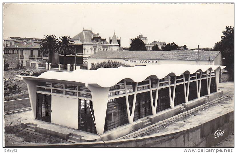 ALGERIE - SIDI BEL ABBES - La nouvelle poissonnerie - Ecrite 1966