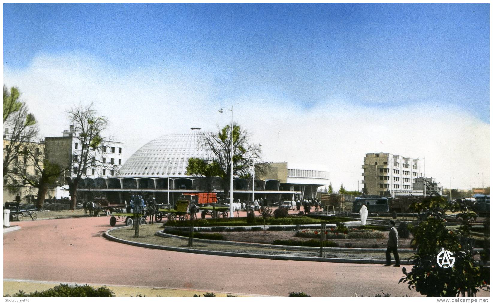 SIDI-BEL-ABBES...LES HALLES...CPSM PETIT FORMAT ANIMEE