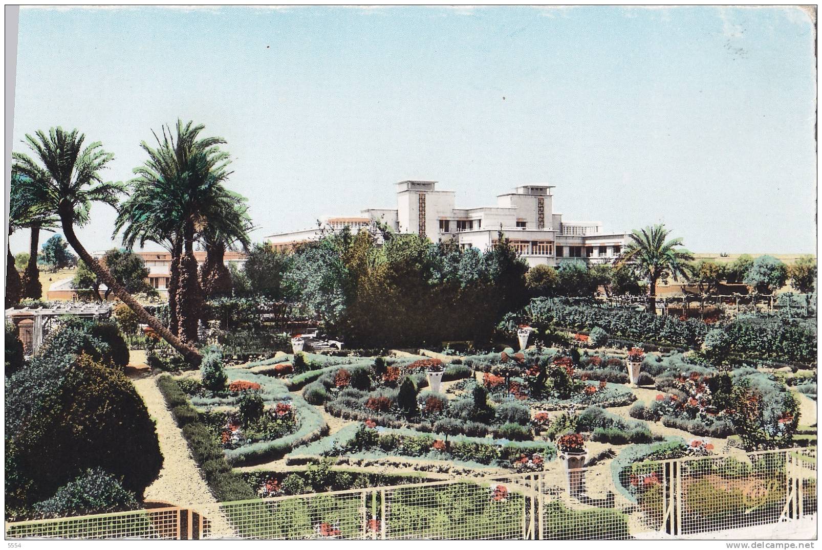 cpsm algerie sidi bel abbes  l hopital