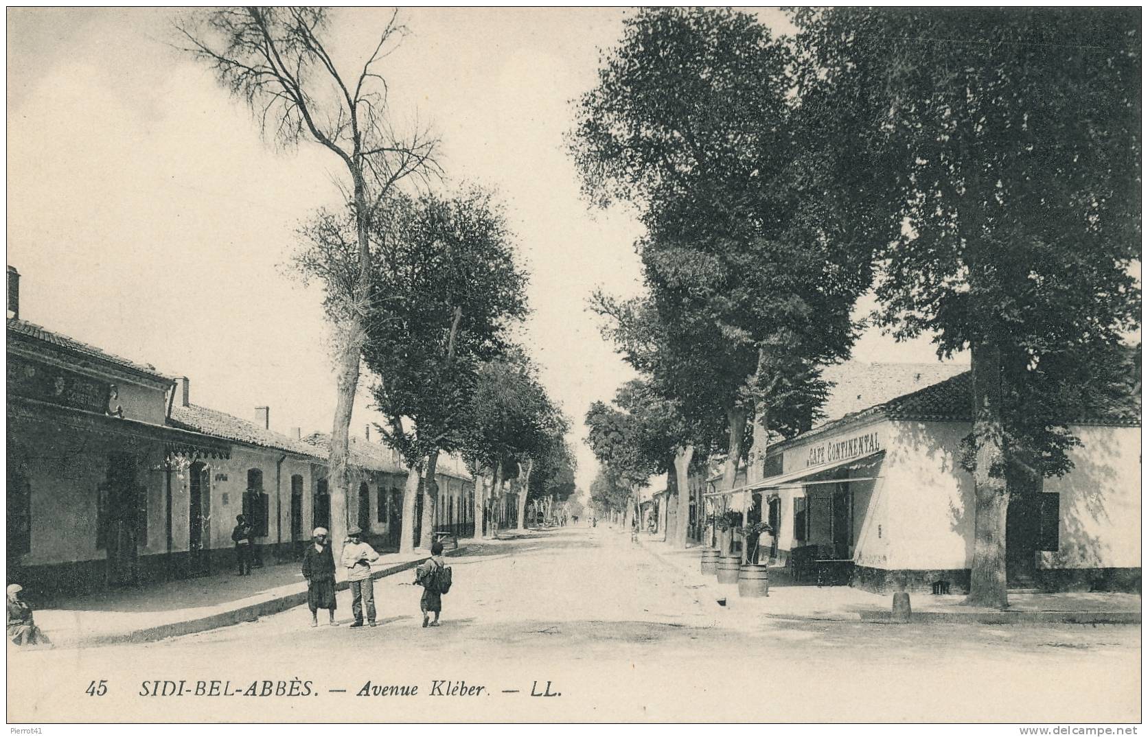 ALGERIE - SIDI-BEL-ABBES - Avenue Kléber