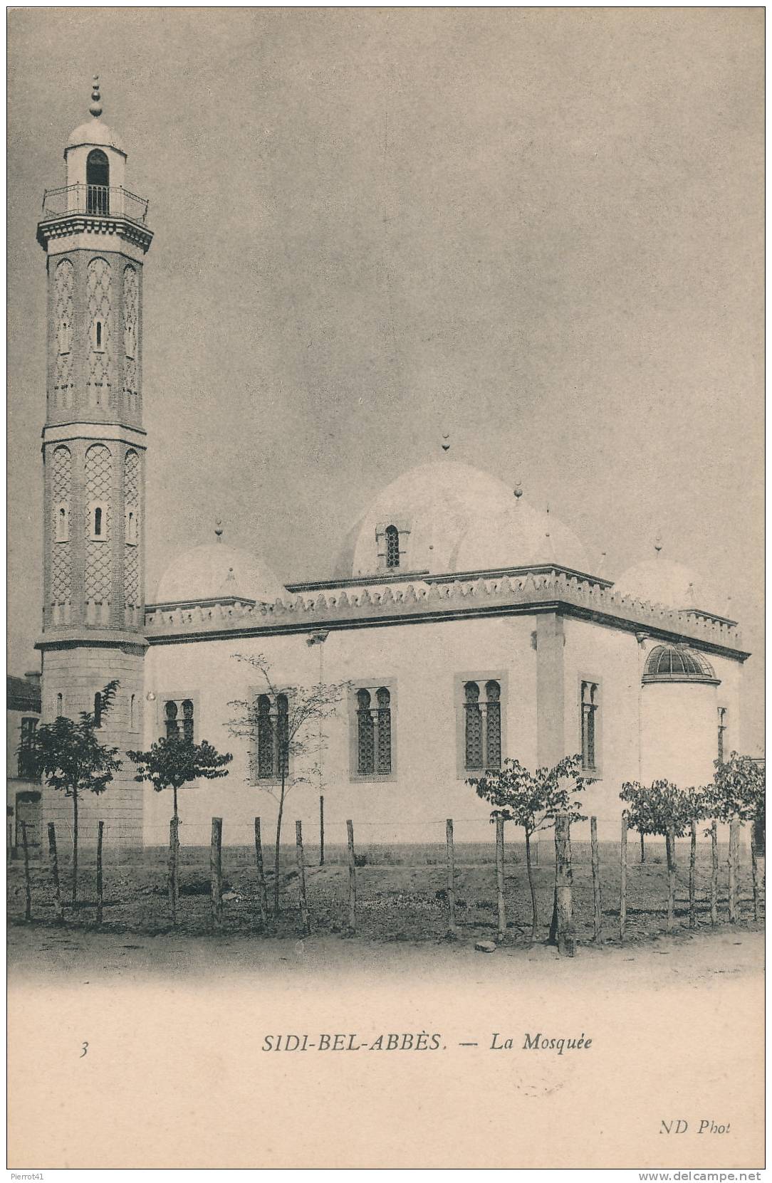 ALGERIE - SIDI-BEL-ABBES - La Mosquée