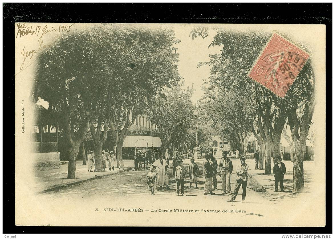 Algérie  - Algerije     Sidi - Bel - Abbès    Le cercle militaire et l'Avenue de la gare