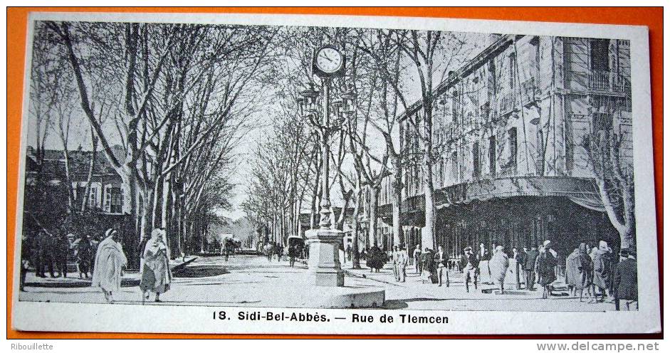 Algérie - CP N° AM296 - Sidi Bel Abbès - CPA/Mignonette/N