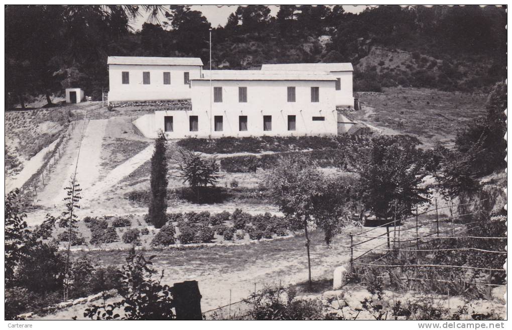AFRIQUE,AFRICA,Algérie,ca rte photo MERCIER LACOMBE EN 1950,SFIZEF,SFISSEF,sidi bel abbes,colonie de vacances