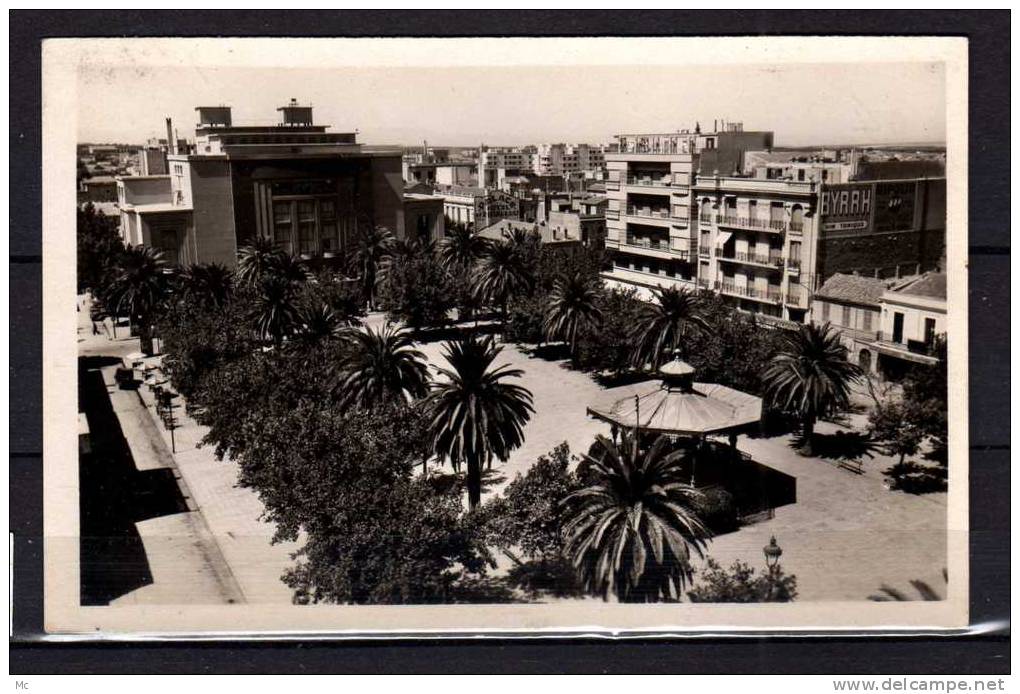 Algérie - Sidi-Bel-Abbès - Place Carnot