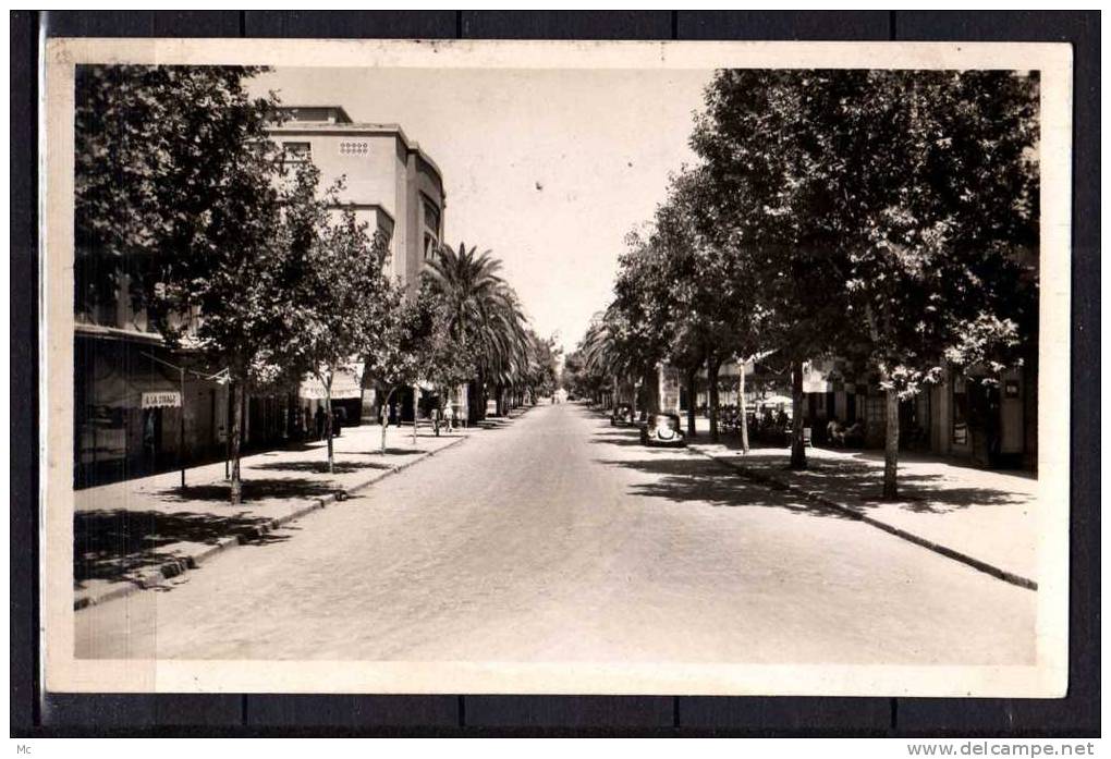 Algérie - Sidi-Bel-Abbès - Boulevard de la République