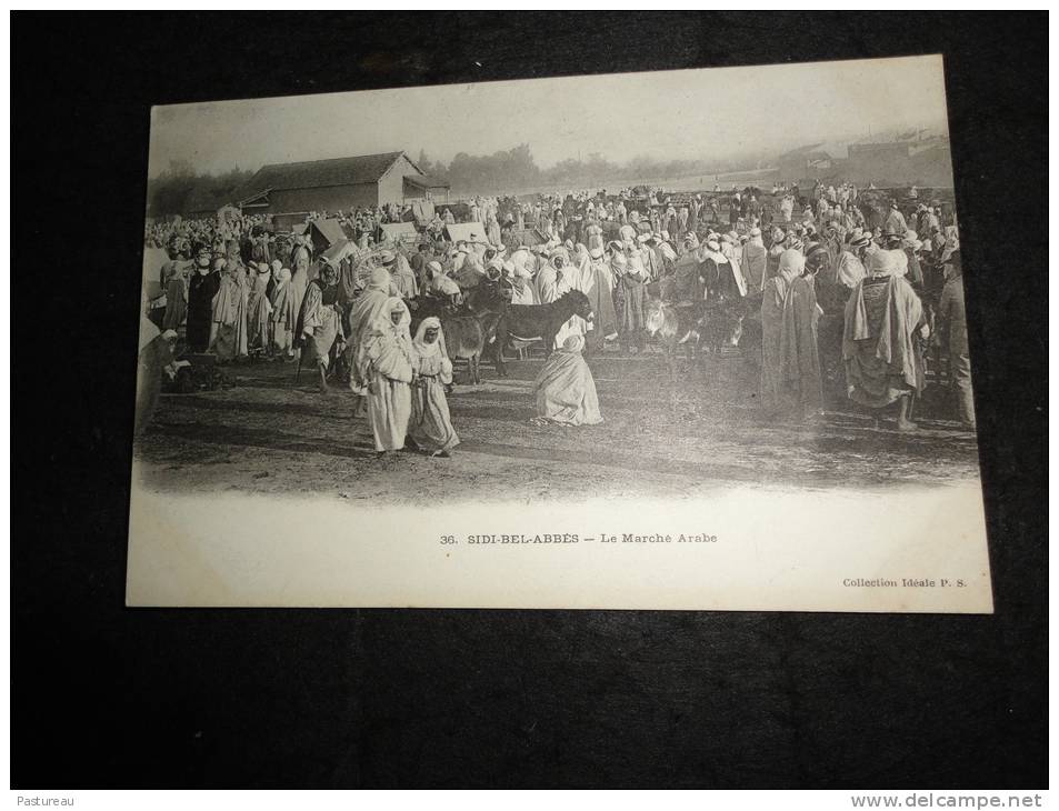 Algérie. Sidi - Bel - Abbès. Le Marché Arabe.