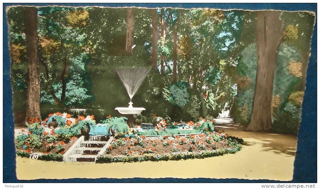 SIDI-BEL-ABBES.Le Jardin Public.Allée Principale.Cpsm,voyagé,be ,infime plissure