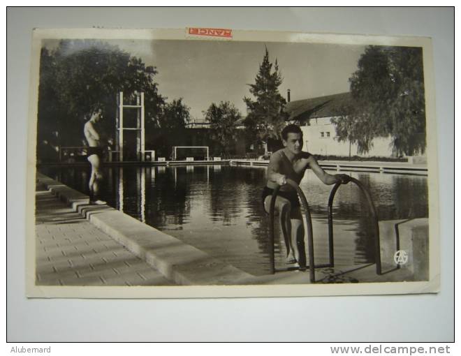 Sidi-Bel-Abbes , la piscine de la Légion , c p photo 14X9