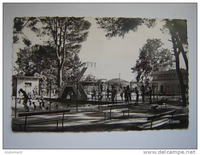 Sidi-Bel-Abbes , la piscine municipale , c p papier glaçé 14X9