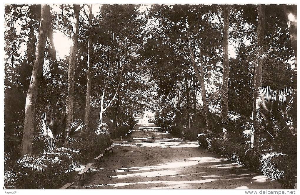 sidi-bel-abbes-jardin public