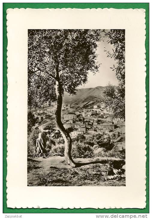 cpm  ALGERIE   -  SKIKDA  , Vue générale         ...........LMC5