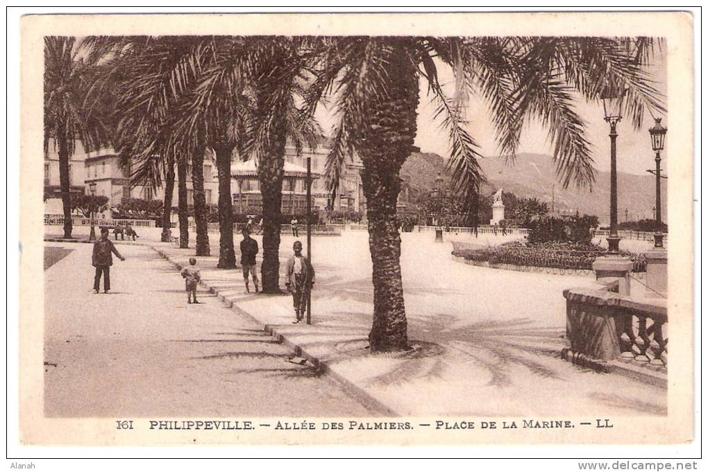 PHILIPPEVILLE Allée des Palmiers Place de la Marine (L.L) Algérie Afrique