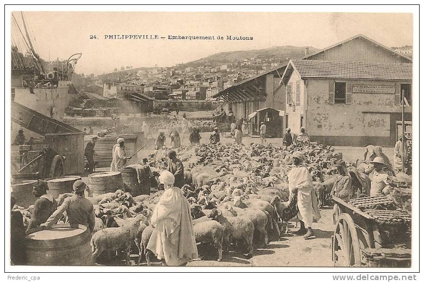 Philippeville Skikda - Embarquement de Moutons - CPA