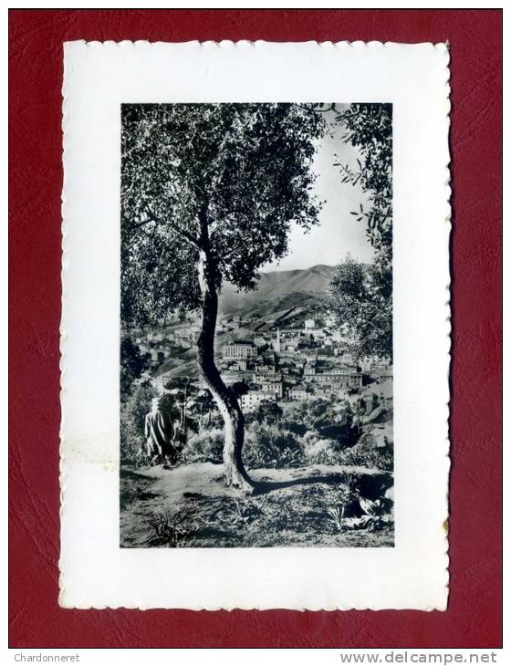 CPSM ALGERIE- PHILIPPEVILLE - Vue Générale - ALGERIA AFRICA AFRIQUE