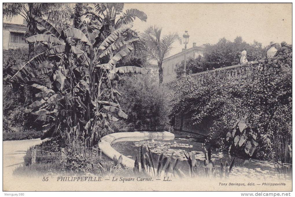 PHILIPPEVILLE - Le Square Carnot