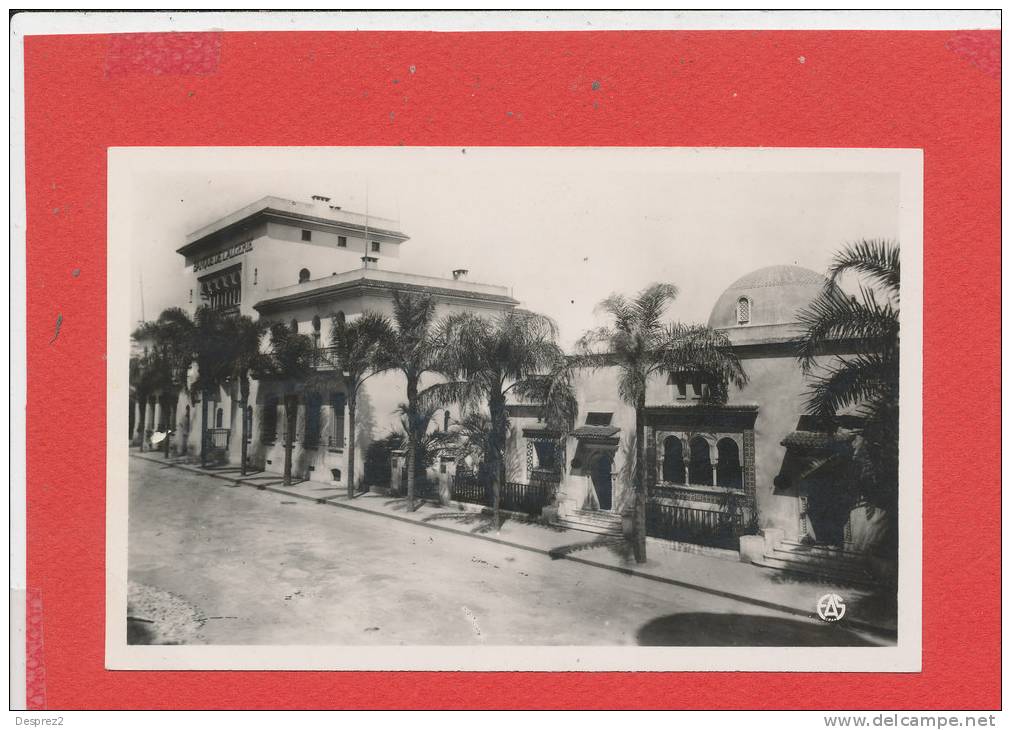 PHILIPPEVILLE cpsm  Syndicat Initiative et Banque Algérie          14 Sirecky