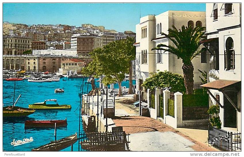 * (ALG)  EL DJEZAIR  *  CPM CPSM  -