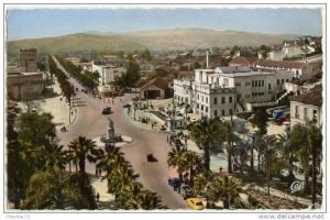 (Algérie) Philippeville 002, CAP 795, L'Avenue Raymond Barrot, non voyagée, bon état