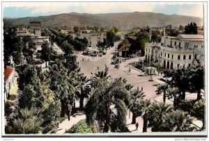 cpsm bon etat ,   philippeville , place wagram , et avenue barrot