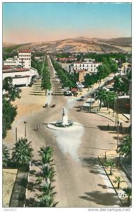 PHILIPPEVILLE - Les Allées Barrot - Monument du 3e Zouaves (Ed. A. Sirecky, 38)