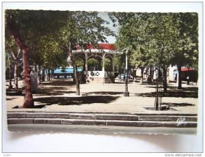 cpsm, carte photo, très belle vue, Souk Ahras, place Thagaste