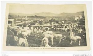 souk ahras - le marché aux bestiaux - vue partielle   animation - animaux - commerce