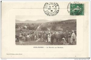 SOUK-AHRAS.   Le Marché aux Bestiaux