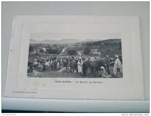 SOUK AHRAS - LE MARCHE AUX BESTIAUX- TRES ANIMEE (EDITOR BELLISSON)