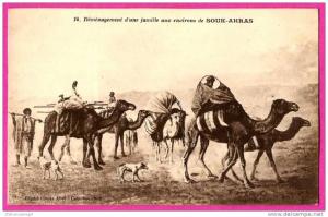 Déménagement d'une famille aux environs de Souk-Ahras - BOUSDIRA