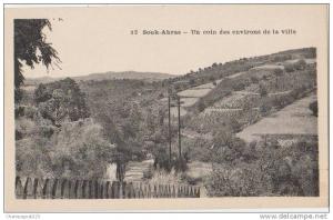 CPA ALGERIE SOUK AHRAS Un Coin des Environs de la Ville