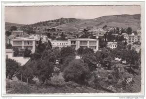 Souk-Ahras le frais vallon