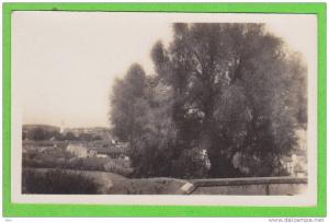 SOUK AHRAS - L'Olivier Saint-Augustin