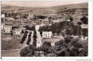 Algérie - Souk Ahras -CPSM bel état  -