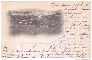 Souk Ahras.- (Algérie) Pris du Cimetière Européen  - (oblitération de 1903)