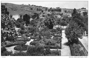 AFRIQUE. ALGERIE. SOUK AHRAS. Vue sur Le Jardin Public. Carte Dentelée.