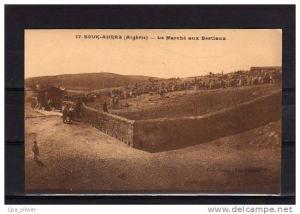 ALGERIE Souk Ahras Marché aux Bestiaux, ed Etoile 17, 192?