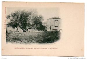 Carte Postale Ancienne Souk Ahras - Olivier de Saint Augustin et poudrière - Arbres