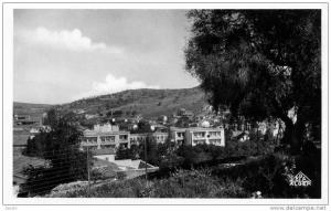 souk ahras  vue partielle et olivier st augustin